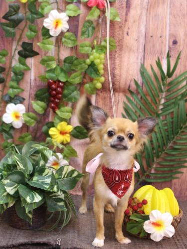 20230819れおくん